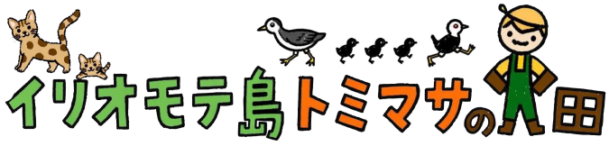 イリオモテ島トミマサの畑
