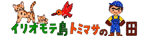 イリオモテ島トミマサの畑