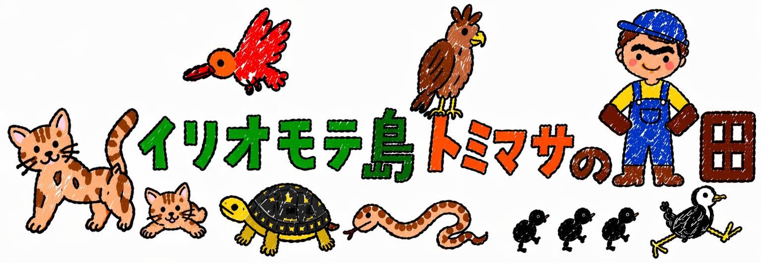 イリオモテ島トミマサの畑